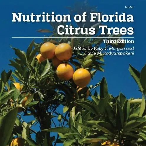 thumbnail for publication: Nutrition of Florida Citrus Trees, 3rd Edition: Chapter 3. General Soil Fertility and Citrus Tree Nutrition